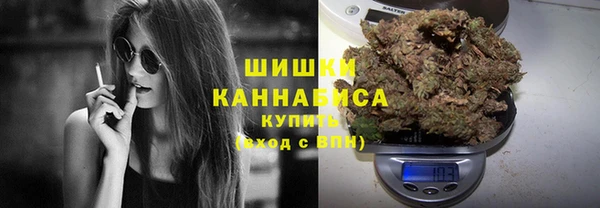 молекула духа Богородицк