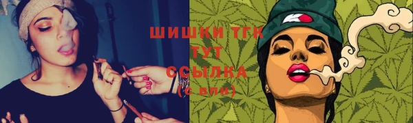 ешки Корсаков