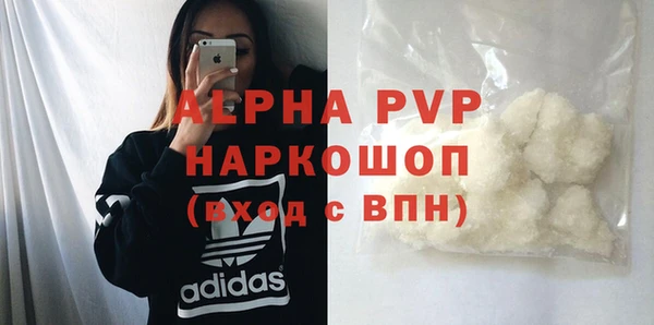 молекула духа Богородицк