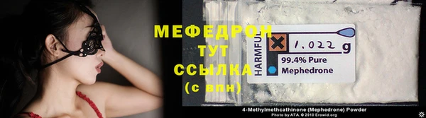 молекула духа Богородицк
