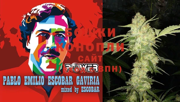 гидропоника Богданович