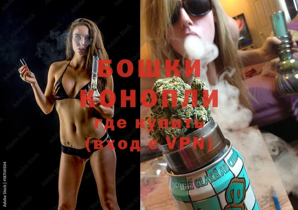 молекула духа Богородицк