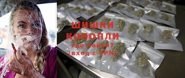 молекула духа Богородицк