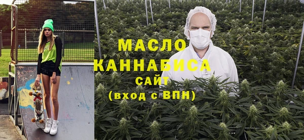 молекула духа Богородицк