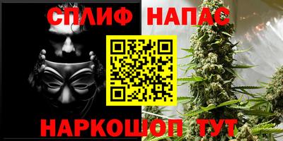 трава Кимры