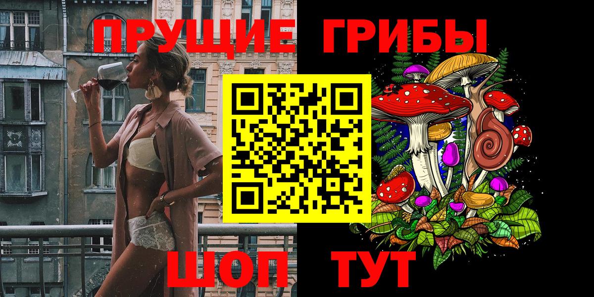 Кузнецк  Псилоцибиновые грибы Magic Shrooms  Вход с VPN  Псилоцибиновые грибы Psilocybine cubensis 
